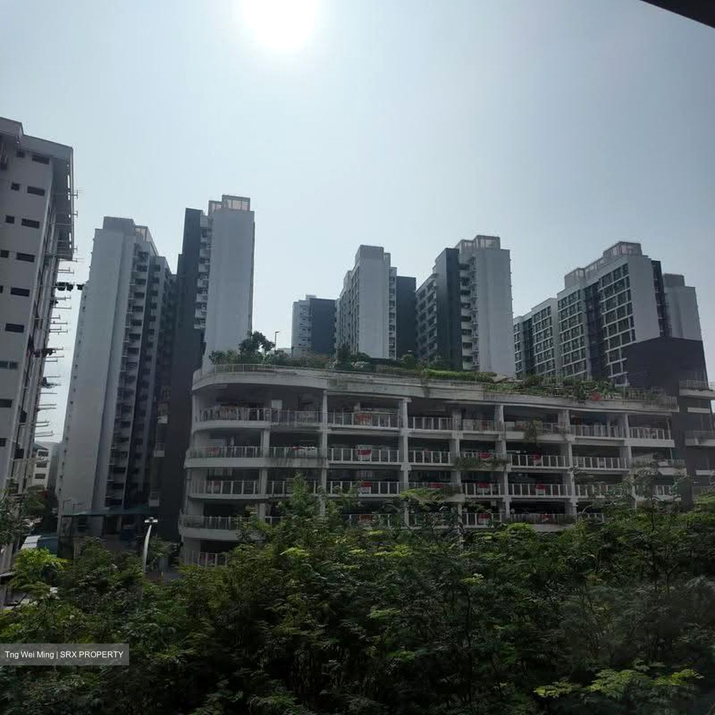 Blk 38A Pine Vista (Geylang), HDB 3 Rooms #634195841